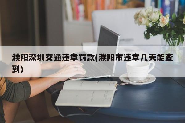 濮阳深圳交通违章罚款(濮阳市违章几天能查到)