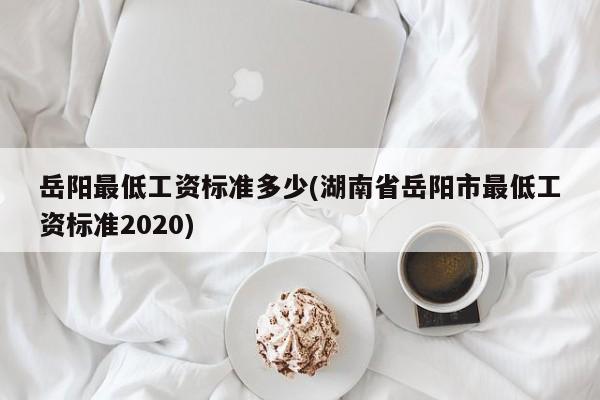岳阳最低工资标准多少(湖南省岳阳市最低工资标准2020)